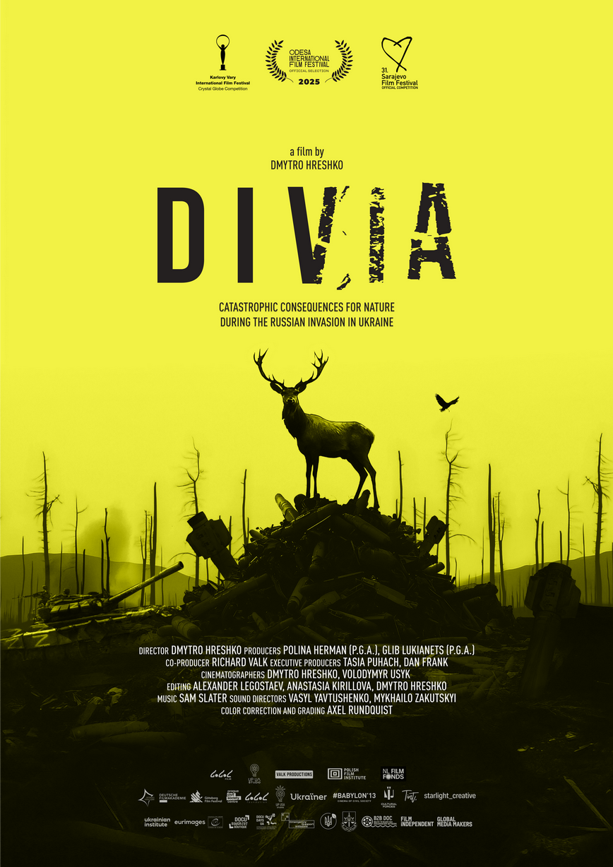 Divia poster