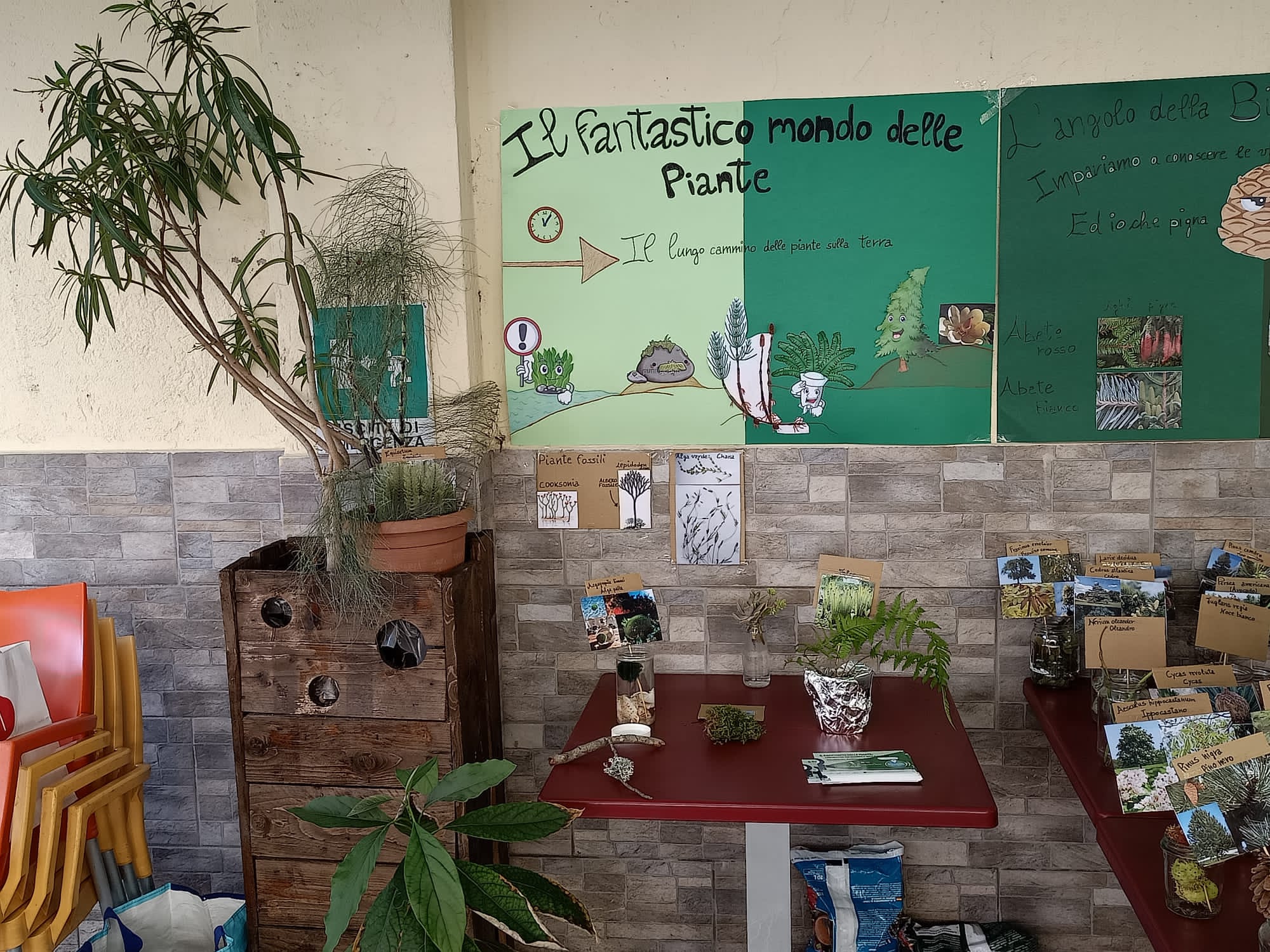 Il racconto delle piante