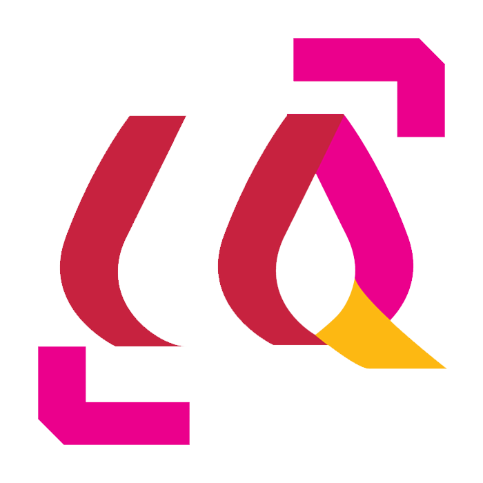 Logo CdQ San Salvario