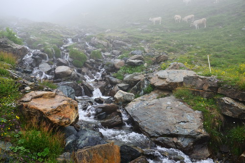 Fotografia che ha vinto il terzo premio della sezione 2 "Acqua e natura" - Benedetta Picco "Acqua di montagna, il gusto ci guadagna"