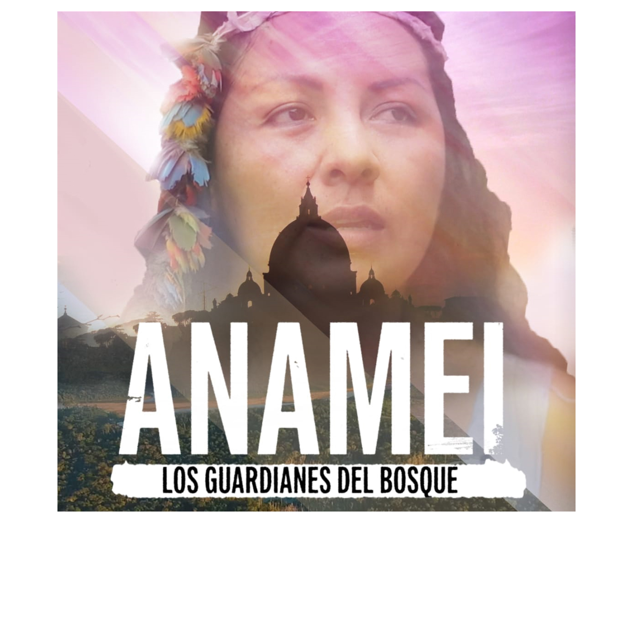 locandina ANAMEI