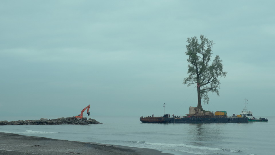 una immagine dal film