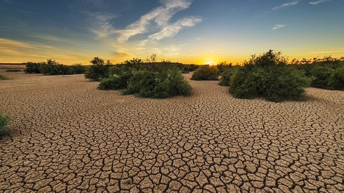 Desertificazione Desertificazione