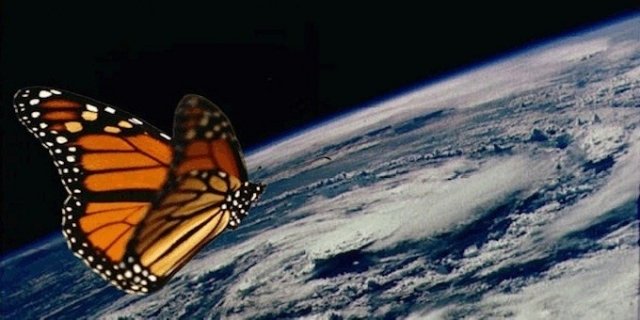 farfalla
