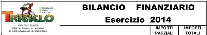 Immagine della testata del documento di bilancio
