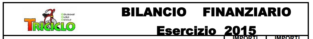 copertina del bilancio