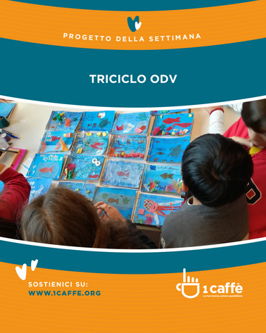 Grafica della raccolta fondi di 1 Caffè Onlus per Triciclo